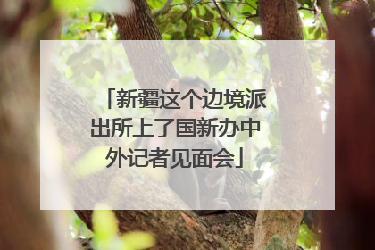 新疆这个边境派出所上了国新办中外记者见面会