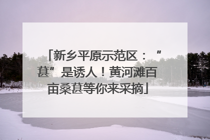 新乡平原示范区：“葚”是诱人！黄河滩百亩桑葚等你来采摘