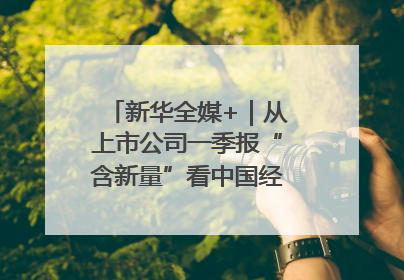 新华全媒+｜从上市公司一季报“含新量”看中国经济发展向“新”