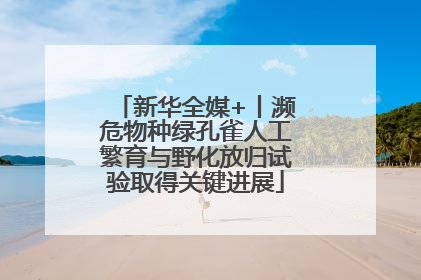 新华全媒+丨濒危物种绿孔雀人工繁育与野化放归试验取得关键进展