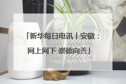 新华每日电讯丨安徽：网上网下 崇德向善