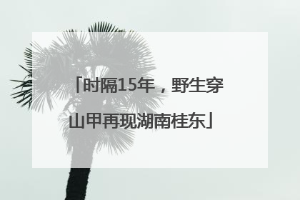 时隔15年，野生穿山甲再现湖南桂东
