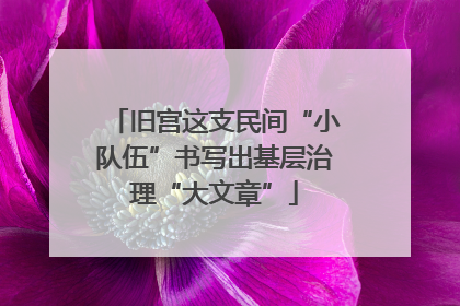 旧宫这支民间“小队伍”书写出基层治理“大文章”