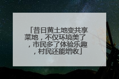 昔日黄土地变共享菜地，不仅环境美了，市民多了体验乐趣，村民还能增收