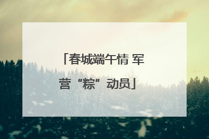 春城端午情 军营“粽”动员