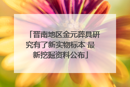 晋南地区金元葬具研究有了新实物标本 最新挖掘资料公布