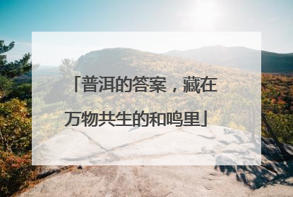 普洱的答案，藏在万物共生的和鸣里