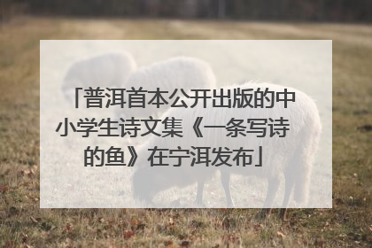 普洱首本公开出版的中小学生诗文集《一条写诗的鱼》在宁洱发布