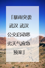 暴雨突袭武汉 武汉公交启动恶劣天气应急预案