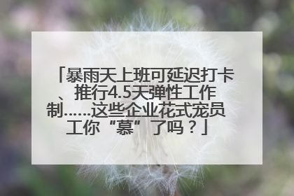 暴雨天上班可延迟打卡、推行4.5天弹性工作制……这些企业花式宠员工你“慕”了吗？
