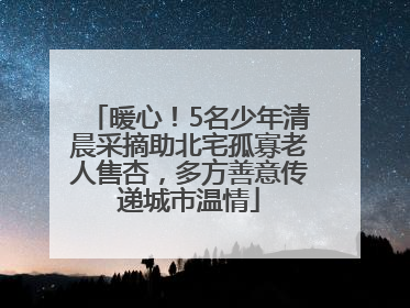 暖心！5名少年清晨采摘助北宅孤寡老人售杏，多方善意传递城市温情