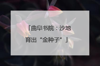 曲阜书院：沙地育出“金种子”