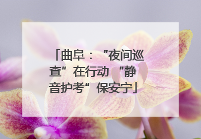 曲阜：“夜间巡查”在行动 “静音护考”保安宁