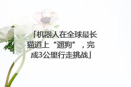 机器人在全球最长猫道上“遛狗”，完成3公里行走挑战