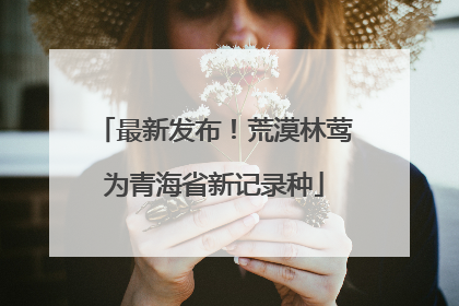 最新发布！荒漠林莺为青海省新记录种