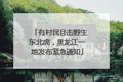 有村民目击野生东北虎，黑龙江一地发布紧急通知