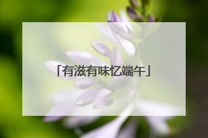 有滋有味忆端午
