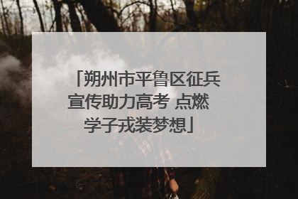 朔州市平鲁区征兵宣传助力高考 点燃学子戎装梦想