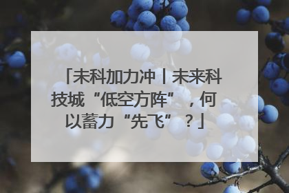 未科加力冲丨未来科技城“低空方阵”，何以蓄力“先飞”？
