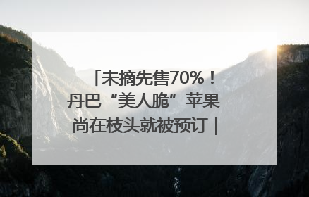 未摘先售70%！丹巴“美人脆”苹果尚在枝头就被预订｜长征路上看四川