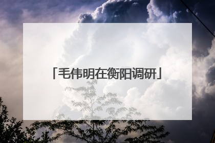 毛伟明在衡阳调研