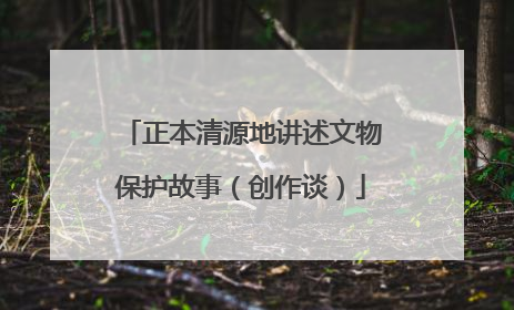 正本清源地讲述文物保护故事（创作谈）