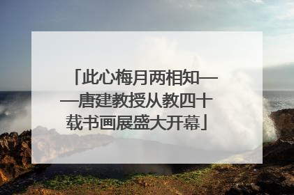 此心梅月两相知——唐建教授从教四十载书画展盛大开幕