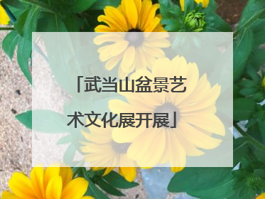 武当山盆景艺术文化展开展