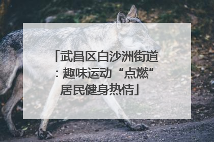 武昌区白沙洲街道：趣味运动“点燃”居民健身热情