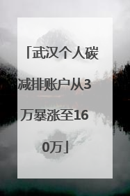 武汉个人碳减排账户从3万暴涨至160万