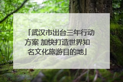武汉市出台三年行动方案 加快打造世界知名文化旅游目的地