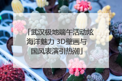 武汉极地端午活动炫海洋魅力 3D壁画与国风表演引热潮
