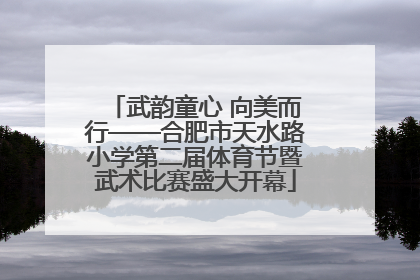 武韵童心 向美而行——合肥市天水路小学第二届体育节暨武术比赛盛大开幕