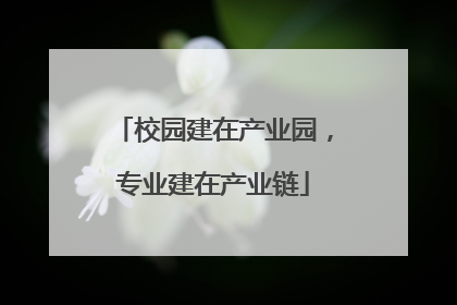 校园建在产业园，专业建在产业链