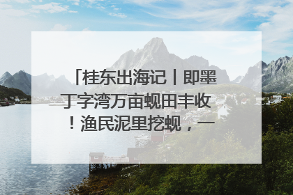 桂东出海记丨即墨丁字湾万亩蚬田丰收！渔民泥里挖蚬，一天上岸过千斤