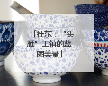 桂东：“头雁”王镇的蓝图美景