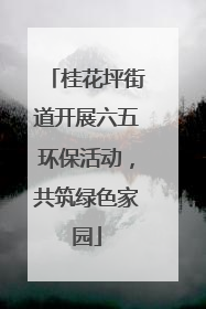 桂花坪街道开展六五环保活动，共筑绿色家园