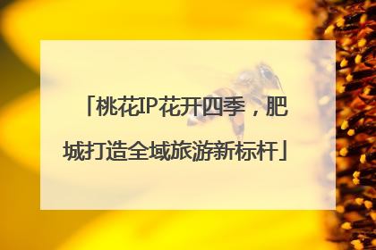 桃花IP花开四季，肥城打造全域旅游新标杆