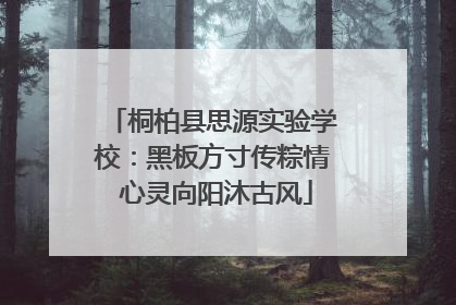 桐柏县思源实验学校：黑板方寸传粽情 心灵向阳沐古风