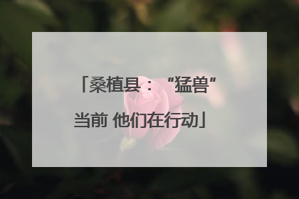 桑植县：“猛兽”当前 他们在行动