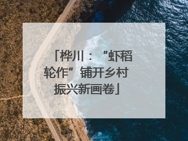 桦川：“虾稻轮作”铺开乡村振兴新画卷