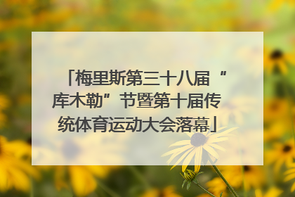 梅里斯第三十八届“库木勒”节暨第十届传统体育运动大会落幕