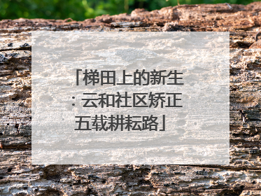 梯田上的新生：云和社区矫正五载耕耘路