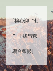 检心迎“七一”！我与党旗合张影
