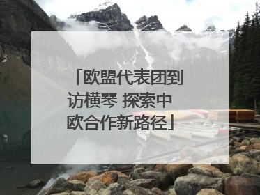 欧盟代表团到访横琴 探索中欧合作新路径