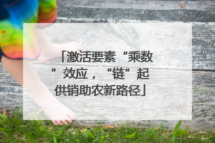 激活要素“乘数”效应，“链”起供销助农新路径