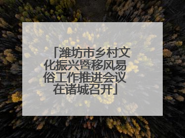 潍坊市乡村文化振兴暨移风易俗工作推进会议在诸城召开