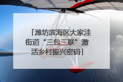 潍坊滨海区大家洼街道“三包三联”激活乡村振兴密码