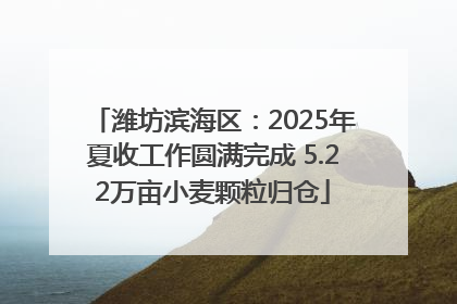 潍坊滨海区：2025年夏收工作圆满完成 5.22万亩小麦颗粒归仓