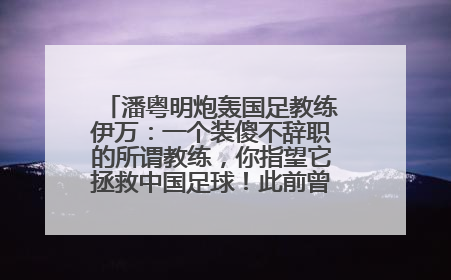 潘粤明炮轰国足教练伊万：一个装傻不辞职的所谓教练，你指望它拯救中国足球！此前曾多次发文评价国足